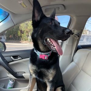 Meet your Posher, Giovanna